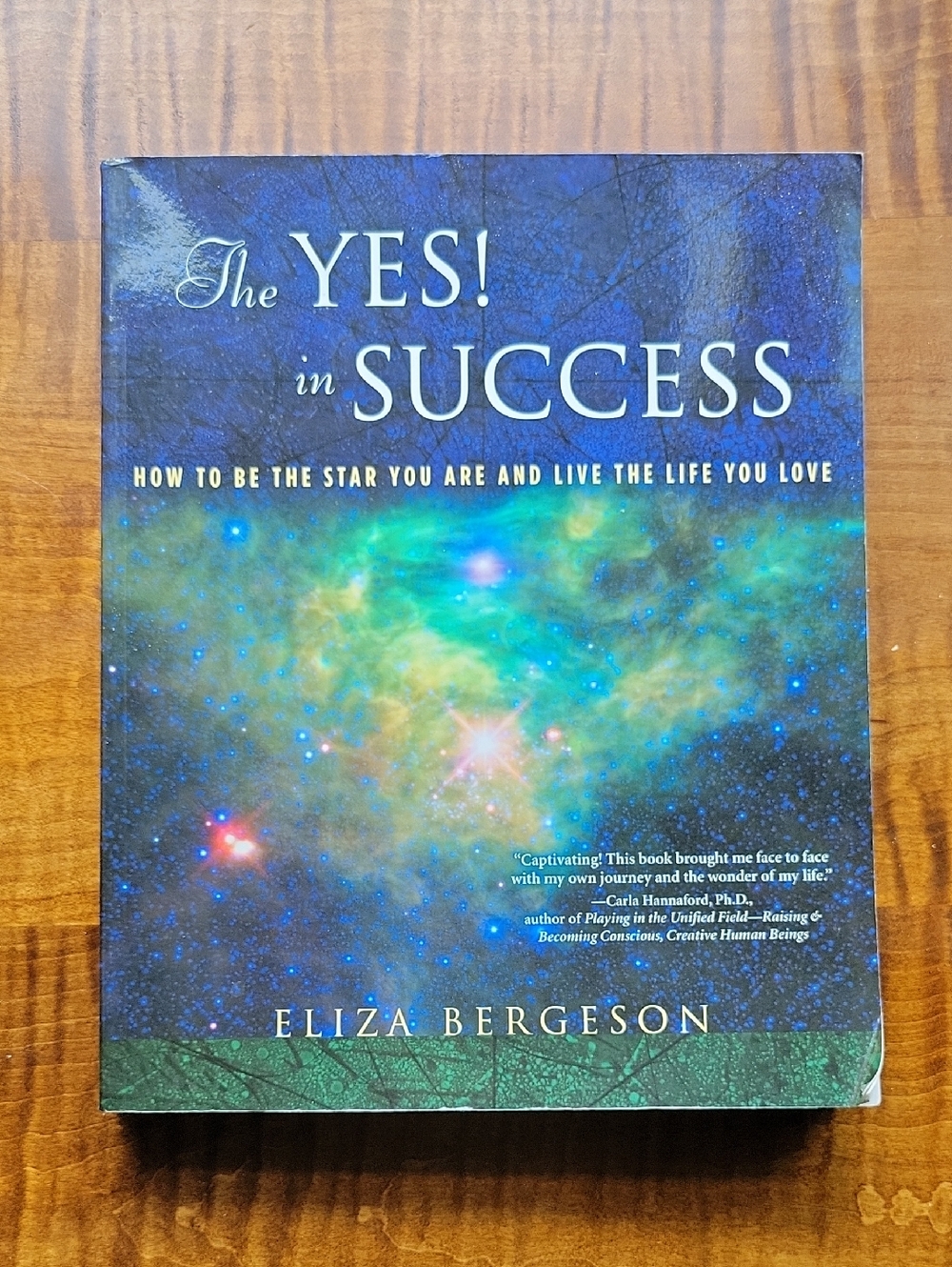 'The Yes! in Success' Softcover Self Help Book